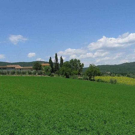 Appartamenti Con Cucina Nelle Colline Toscane Anghiari Bagian luar foto