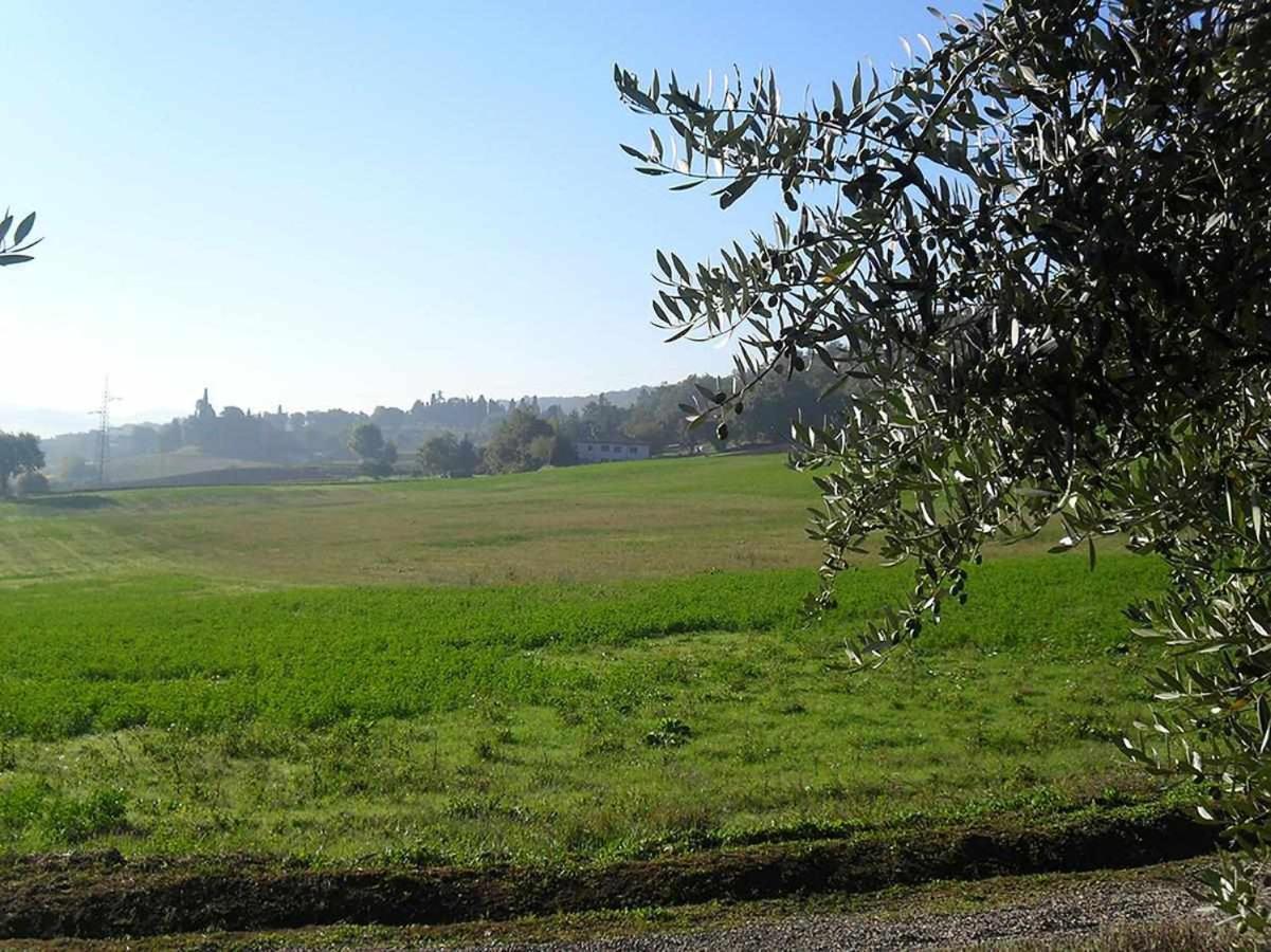 Appartamenti Con Cucina Nelle Colline Toscane Anghiari Bagian luar foto