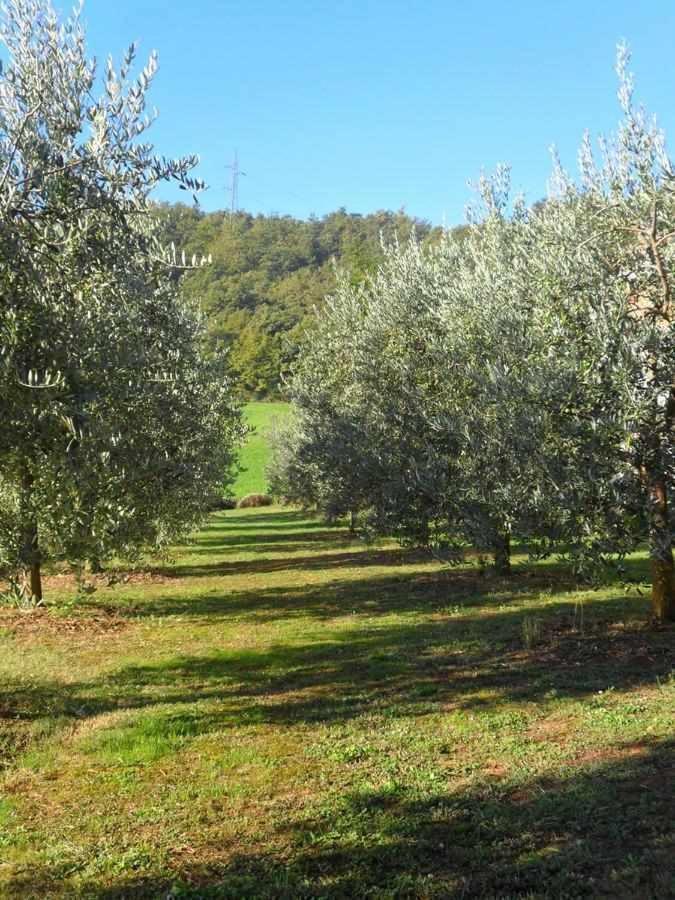 Appartamenti Con Cucina Nelle Colline Toscane Anghiari Bagian luar foto